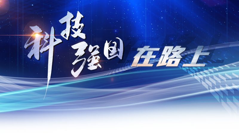 数据湖建设：迈向高效数据管理的未来