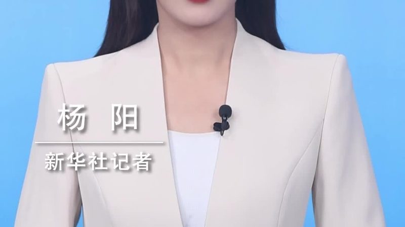 科技服务项目招标报价方案：为什么低价未必是赢家